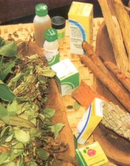 medecine_traditionnelle
