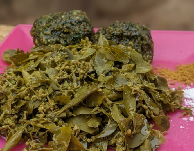 Les feuilles de balanites