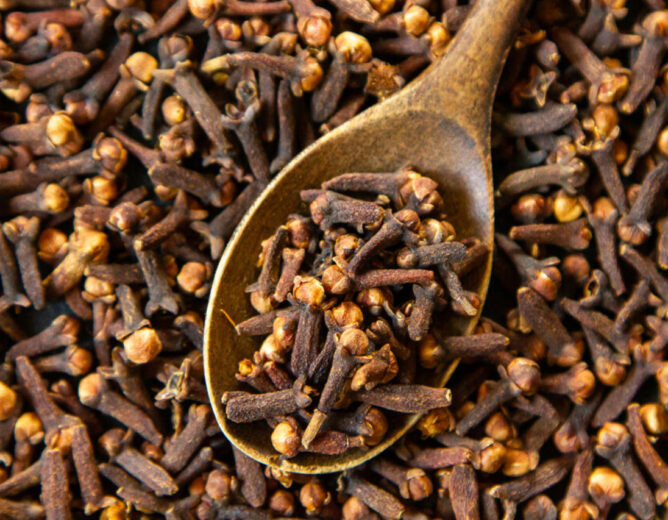 Clou de girofle et fertilité : un remède ancestral