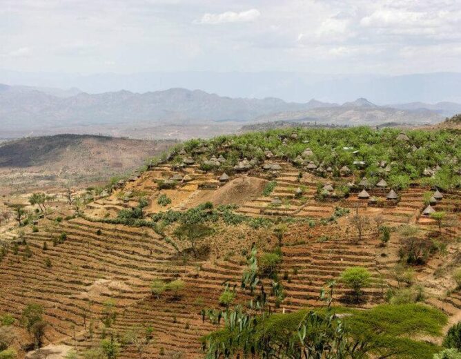 Les terrasses Konso : quand la sagesse des ancêtres transforme la terre en héritage à préserver